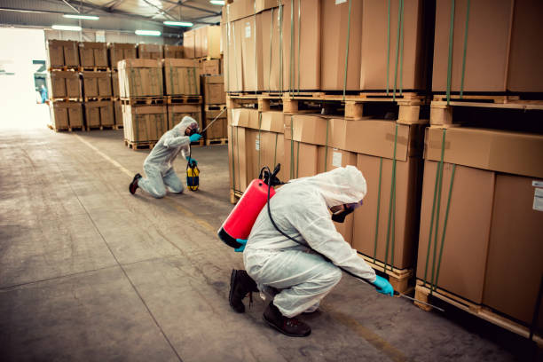 Best Rat Extermination Near Me  in Lakeland Highlands, FL