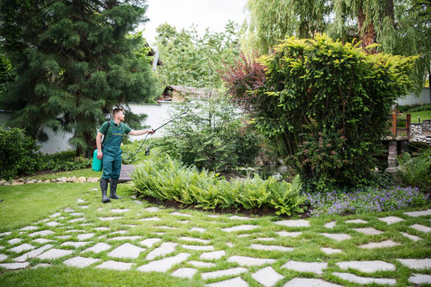 Best Pest Removal Services  in Lakeland Highlands, FL