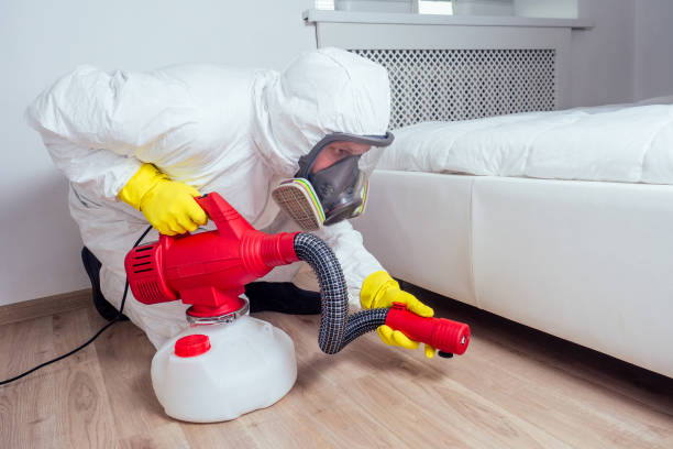 Wasp Removal Services in Lakeland Highlands, FL