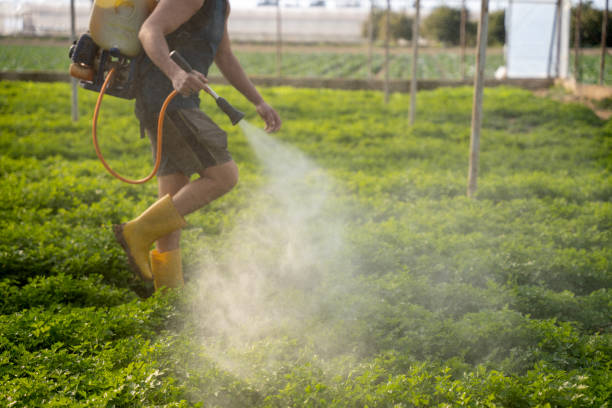 Best Pest Control Cost  in Lakeland Highlands, FL