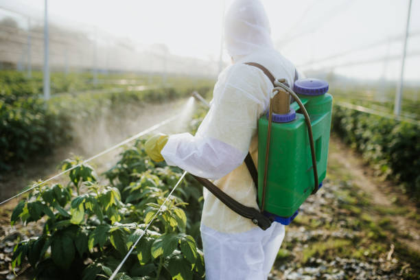 Best Commercial Pest Control Services  in Lakeland Highlands, FL